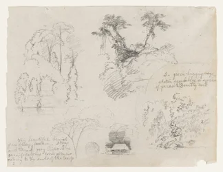 Sketches from South America, Probably from Colombia. Botanical Sketches. A House.